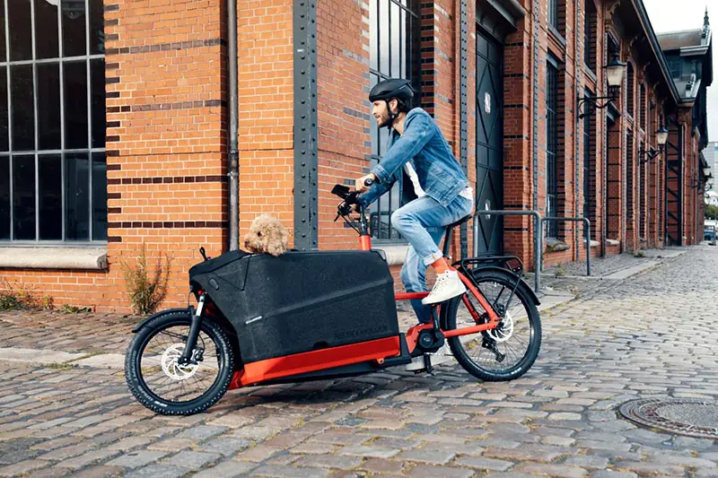 Lastenrad-Fahrradständer